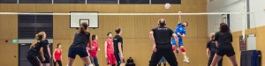 volley